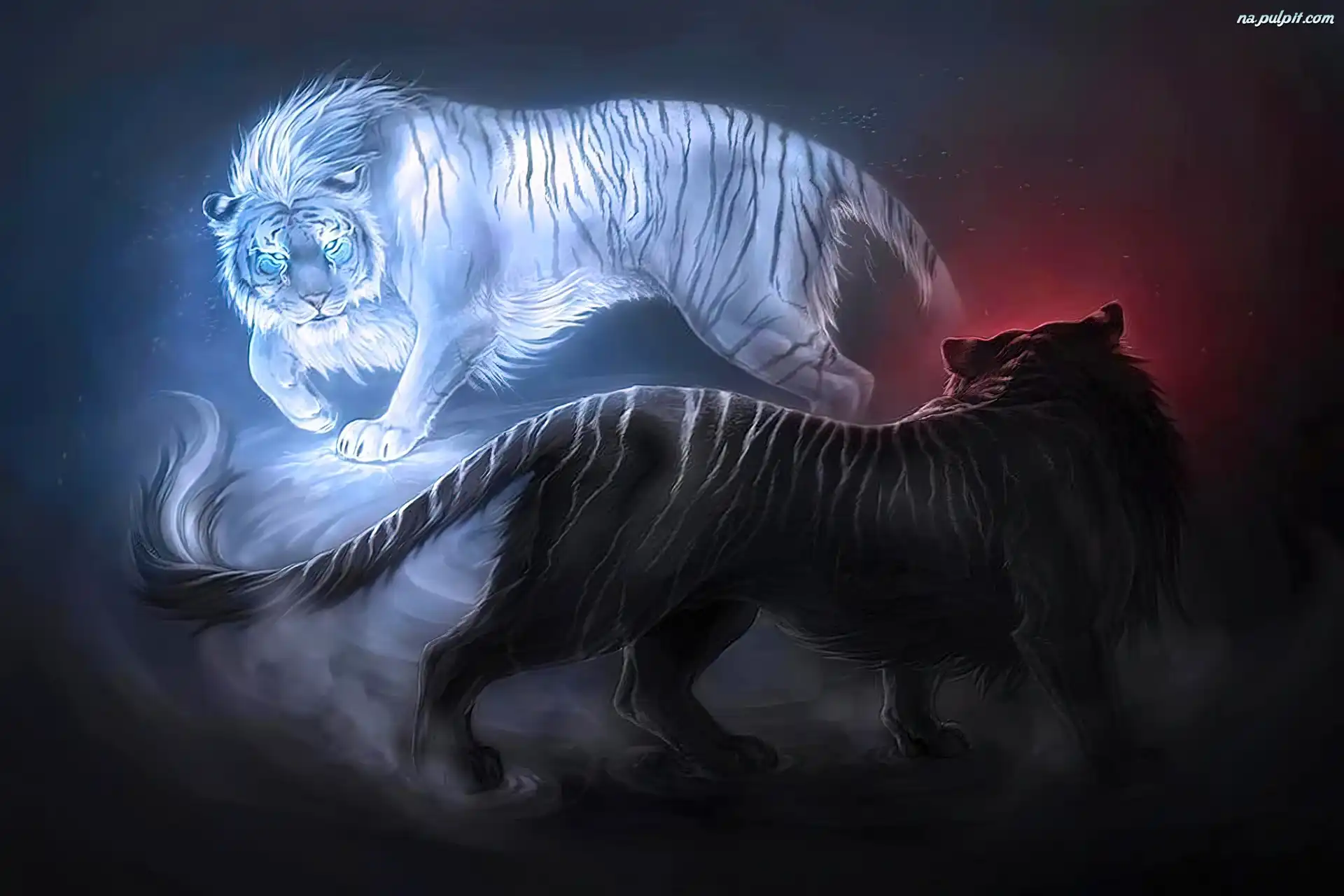 tygrysy-fantasy.jpeg (1100×733)